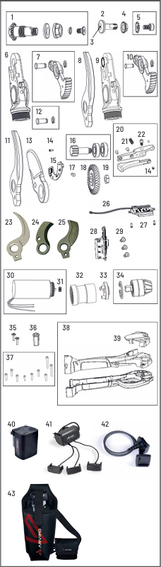PS37-MASTER-EVO-CRAB